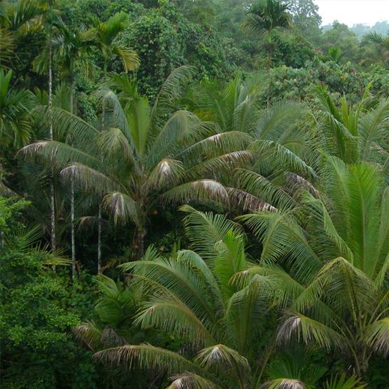 IRRIGATION AND DRAINAGE